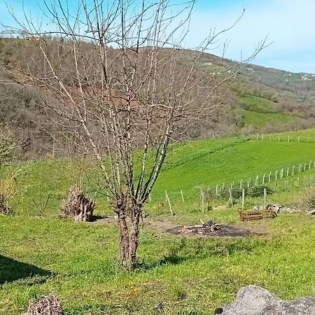 En Asturias